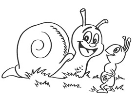jccc caracoles  (2)