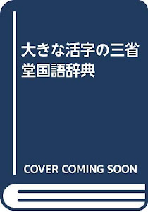 大きな活字の三省堂国語辞典