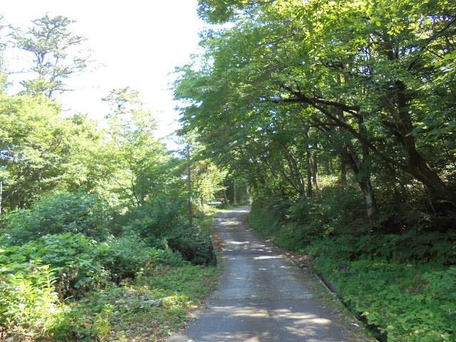 豪円山キャンプ場