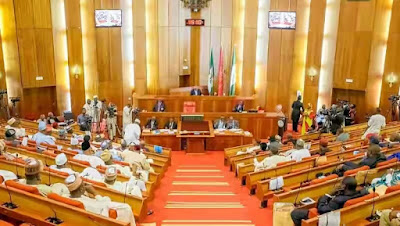 Breaking! Senate Rejects Sale Of National Assets