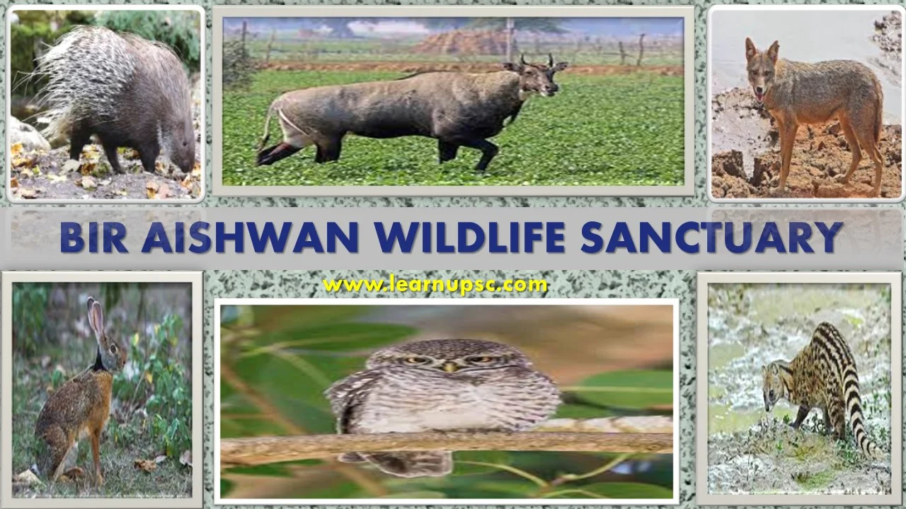 Bir Aishwan Wildlife Sanctuary