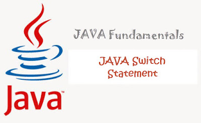 java switch case tutorial for beginners