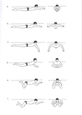 Resultado de imagen de posición del cuerpo en estilo braza