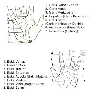 Cara Membaca Garis Tangan