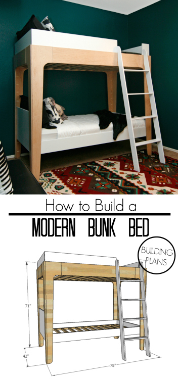 How to Build Modern Bunk Beds | Pneumatic Addict