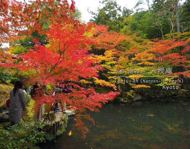 京都 南禅寺･天授庵：池泉回遊式庭園の紅葉