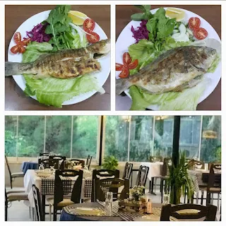 aydın barosu sosyal tesisleri aydın restaurantlar aydın yemek yenecek yerler aydın yemek nerede yenir