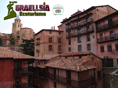 Fósiles en la Sierra de Albarracín