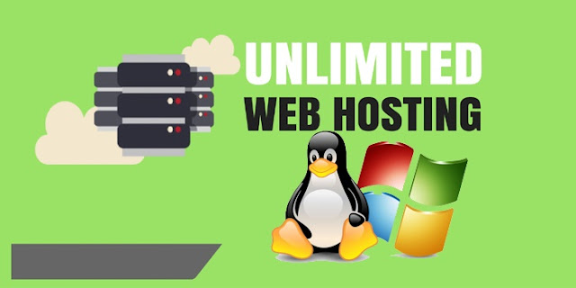 Unlimited Web Hosting Pakistan The Most You Can Get Cheap Hosting