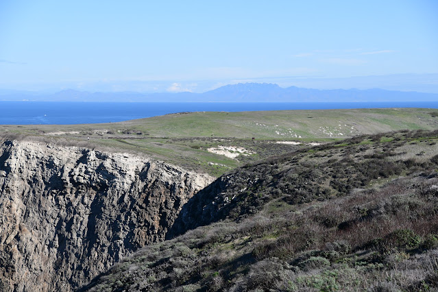 Santa Cruz Island