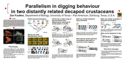 Faulkes 2002 SICB poster critiqued