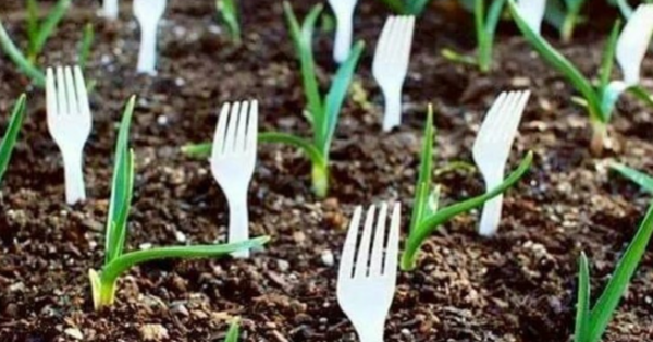 La gente está plantando tenedores de plástico en sus jardines. Este es el por qué