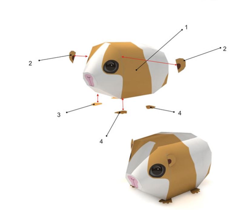 Хомячки схемы. Паперкрафт морская Свинка. Поделка из бумаги хомяк. Поделка хомяк объемный. Развёртка хомяка из бумаги.