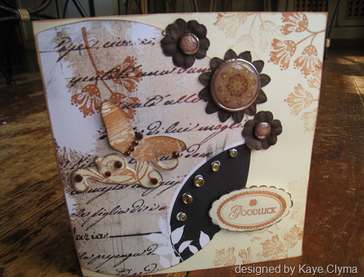 Trish's Cards Feb 2011 148