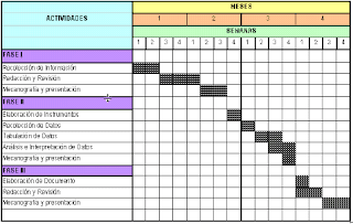 ADMINISTRACION PROACTIVA