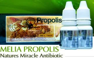 Melia Propolis Dan Khasiatnya