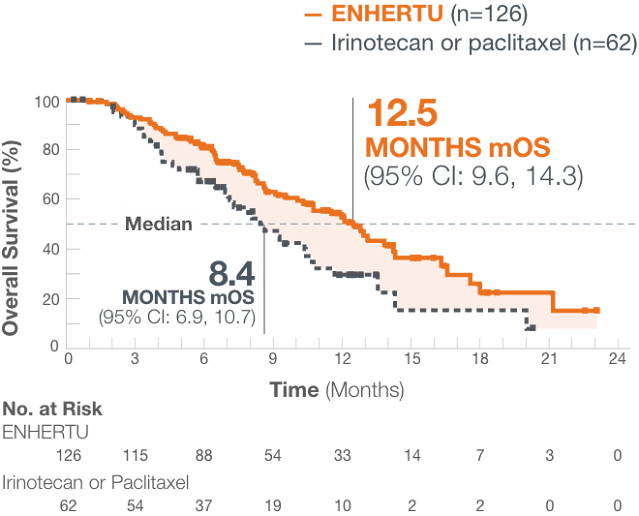 SURVIVAL RATE OF ENHERTU