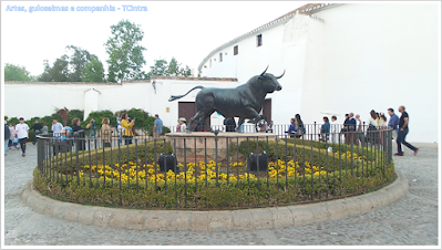 Museu Taurino; Plaza do Toros