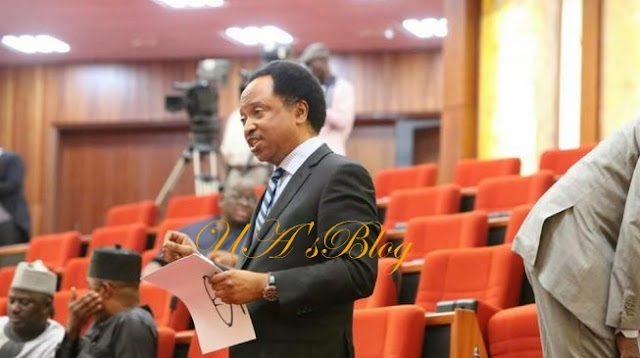 BREAKING: APC suspends Senator Shehu Sani