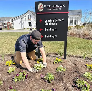 Man planting flowers in mulch