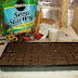 KNOL: How to Start Seeds in Seed Trays Indoors (In Pictures)