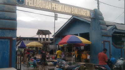 Siap-siap, Pedagang Lapak di TPI Binuangeun Bakal Ditertibkan DKP Banten