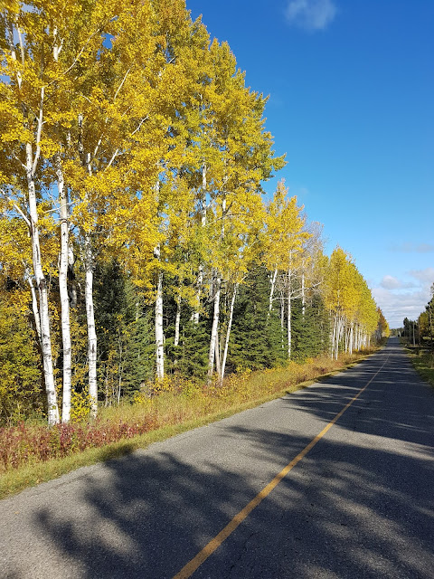 Fall colours on Hacquoil Rd. Thunder Bay