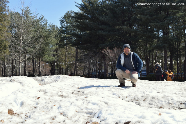 WINTER SONATA AT NAMI ISLAND