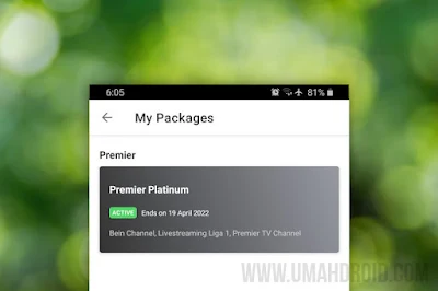 Langganan Vidio Premier Platinum