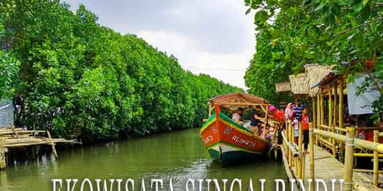 Ngopi Siang Di Destinasi Ekowisata Mangrove Sungai Rindu