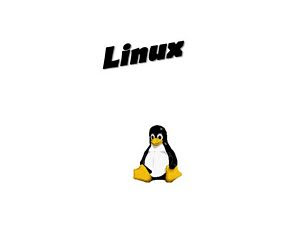 Linux Operating System.ppt Linux Operating System.ppt