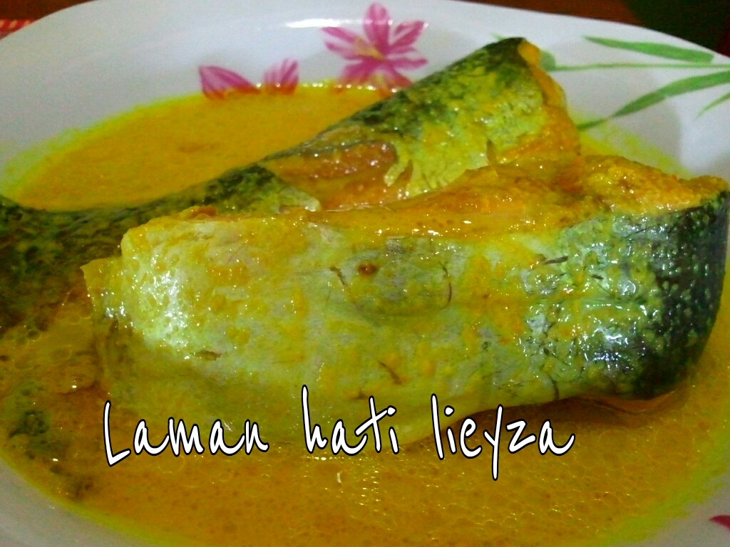 LAMAN HATI LIEYZA: Ikan patin masak lemak tempoyak