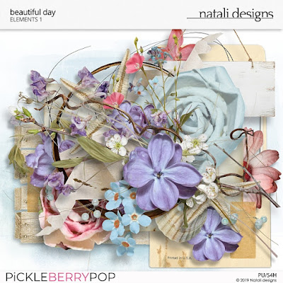 https://pickleberrypop.com/shop/Beautiful-Day-1.html