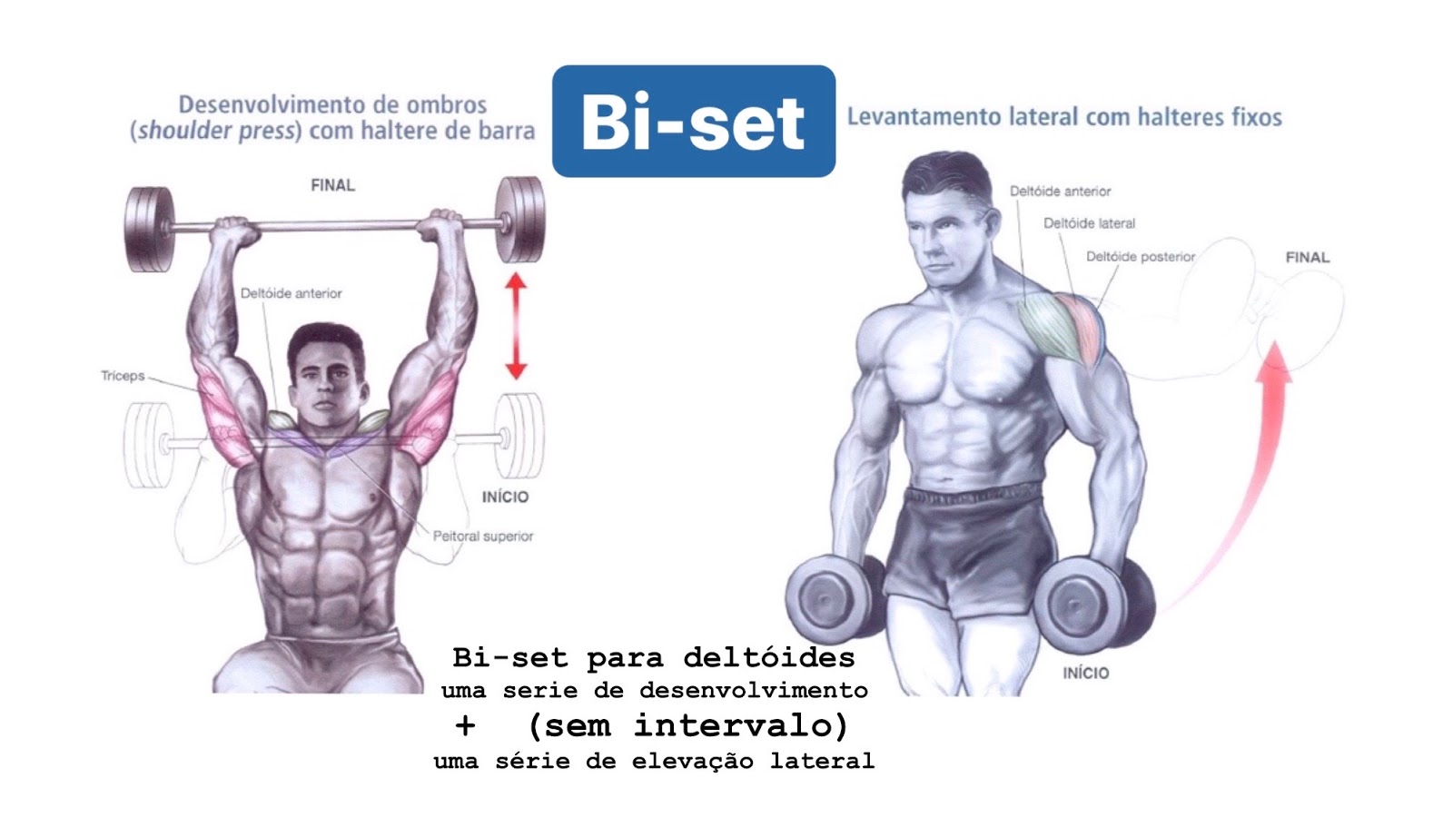 Bi-set, super-set e tri-set - entendendo o que é cada um  Treino  Qualitativo - Salvando a vida de quem não tem tempo ou saco para malhar há  6 anos!