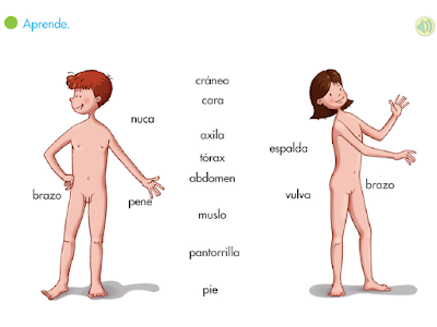 http://primerodecarlos.com/SEGUNDO_PRIMARIA/septiembre/unidad_1/partes_cuerpo.swf