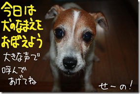 今日カズ１００７１５　２
