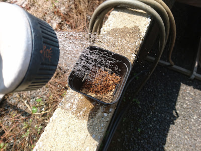 用土　湿らせる