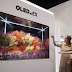 LG Display ontwikkelt buigbare OLED monitor