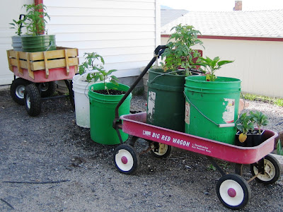 Garden Wagons