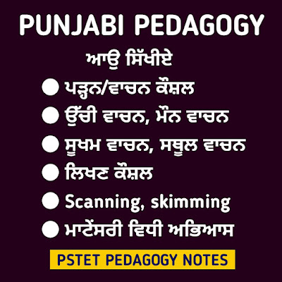 Pstet Punjabi Study Notes