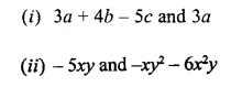 Selina Concise Mathematics Class 6 ICSE Solutions Chapter 19 Fundamental Operations