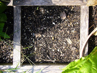 No seedlings in the fall vegetable garden at 2 Green Acres