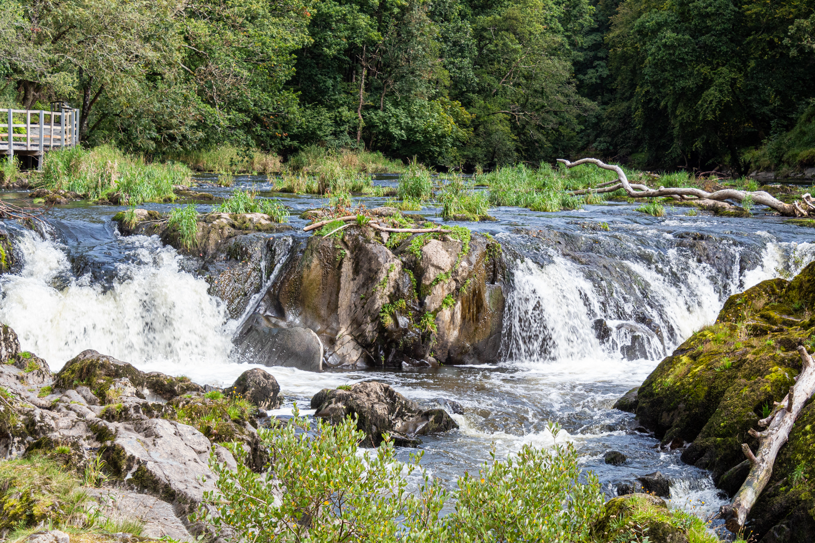 Cenarth Falls