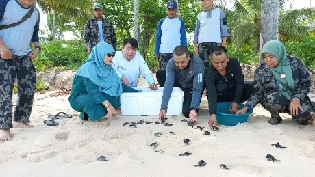 Usung Tema “Mari Selamatkan Penyu” pada Peringatan Hari Penyu Sedunia, Wagub Audy Rilis 230 Penyu