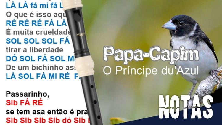 Papa-Capim - O Príncipe du'Azul - Cifra melódica