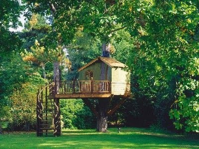 Tree Houses: World Most Amazing Tree Houses 