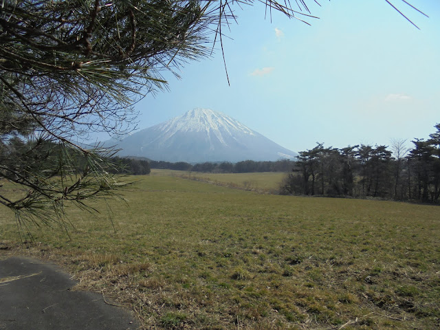 牧草地越しに見える大山の風景