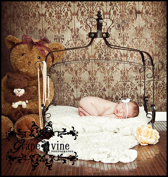 Newborn kissimmee florida baby photography