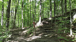 Sentier l'Intrépide qui mène au sommet du mont Ham