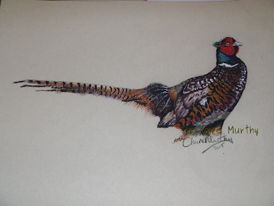 field bird painting pheasant british wildlife